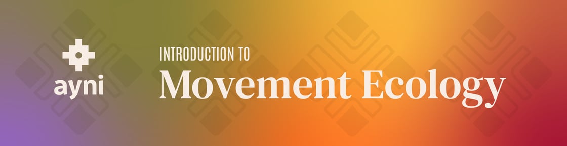 BANNER MOVEMENT ECOLOGY-09-1