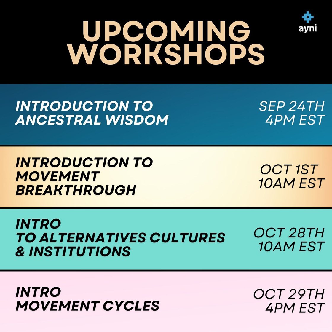 WhatsApp Image 2024-09-09 at 16.55.24